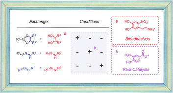 Graphical abstract: The third orthogonal dynamic covalent bond