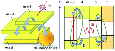 Graphical abstract: Energy and charge transfer cascade in methylammonium lead bromide perovskite nanoparticle aggregates