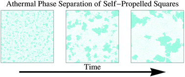 Graphical abstract: State behaviour and dynamics of self-propelled Brownian squares: a simulation study