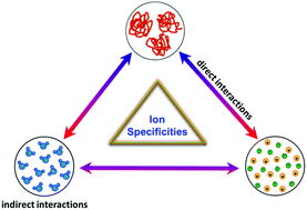 Graphical abstract: Ion specificities of artificial macromolecules