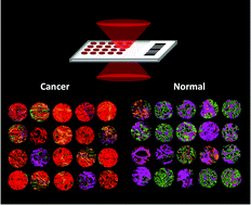 Graphical abstract: Clinical applications of infrared and Raman spectroscopy: state of play and future challenges