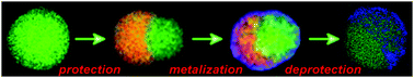 Graphical abstract: Protecting patches in colloidal synthesis of Au semishells