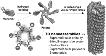 Graphical abstract: Hydrogen-bonded rosettes comprising π-conjugated systems as building blocks for functional one-dimensional assemblies