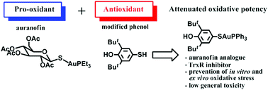 Graphical abstract: The antioxidant 2,6-di-tert-butylphenol moiety attenuates the pro-oxidant properties of the auranofin analogue