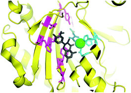 Graphical abstract: Expanding the roles for 2-oxoglutarate-dependent oxygenases in plant metabolism