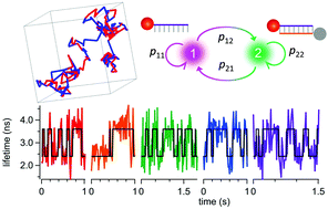 Graphical abstract: 3D single-molecule tracking enables direct hybridization kinetics measurement in solution