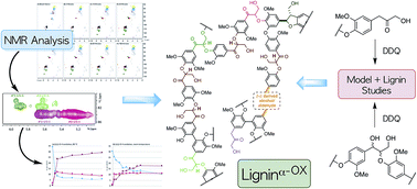 Graphical abstract: Unravelling the enigma of ligninOX: can the oxidation of lignin be controlled?