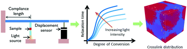 Graphical abstract: Quantifying the sensitivity of the network structure and properties from simultaneous measurements during photopolymerization