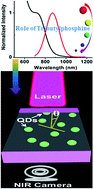 Graphical abstract: Ultrasmall PbS quantum dots: a facile and greener synthetic route and their high performance in luminescent solar concentrators