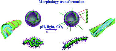 Graphical abstract: Morphology transformation of self-assembled organic nanomaterials in aqueous solution induced by stimuli-triggered chemical structure changes