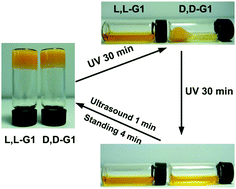 Graphical abstract: Exploring the role of molecular chirality in the photo-responsiveness of dipeptide-based gels