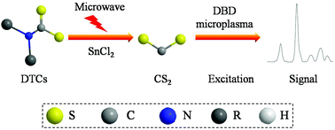 Graphical abstract: A novel liquid chromatography detector based on a dielectric barrier discharge molecular emission spectrometer with online microwave-assisted hydrolysis for determination of dithiocarbamates