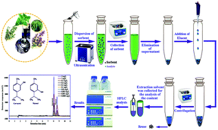 Graphical abstract: Ultrasound combined with manganese-oxide nanoparticles loaded on activated carbon for extraction and pre-concentration of thymol and carvacrol in methanolic extracts of Thymus daenensis, Salvia officinalis, Stachys pilifera, Satureja khuzistanica, and mentha, and water samples