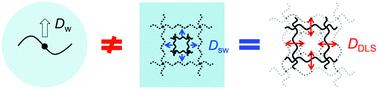 Graphical abstract: Three cooperative diffusion coefficients describing dynamics of polymer gels