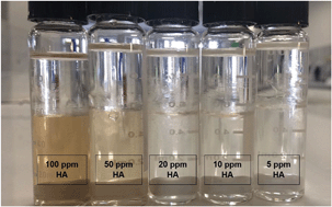 Graphical abstract: Comparative assessment of the phase transfer behaviour of InP/ZnS and CuInS/ZnS quantum dots and CdSe/ZnS quantum dots under varying environmental conditions