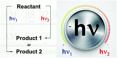 Graphical abstract: Wavelength dependence and wavelength selectivity in photochemical reactions