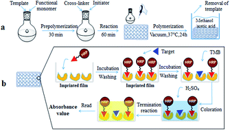 Graphical abstract: Biomimetic enzyme-linked immunoassay based on a molecularly imprinted 96-well plate for the determination of triazophos residues in real samples