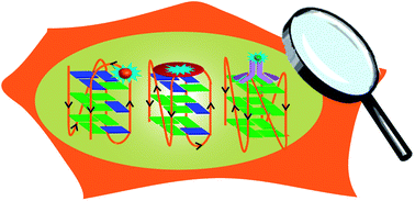 Graphical abstract: Fluorescence-based tools to probe G-quadruplexes in cell-free and cellular environments