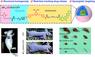 Graphical abstract: Molecularly precise self-assembly of theranostic nanoprobes within a single-molecular framework for in vivo tracking of tumor-specific chemotherapy