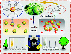 Graphical abstract: A rapid dual-channel readout approach for sensing carbendazim with 4-aminobenzenethiol-functionalized core–shell Au@Ag nanoparticles