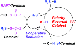 Graphical abstract: Cooperative reduction of various RAFT polymer terminals using hydrosilane and thiol via polarity reversal catalysis