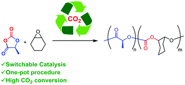 Graphical abstract: Waste not, want not: CO2 (re)cycling into block polymers