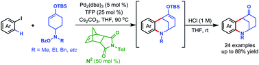 Graphical abstract: A palladium/norbornene cooperative catalysis to access N-containing bridged scaffolds