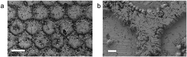 Graphical abstract: Direct electroplating of Ag nanowires using superionic conductors