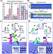 Graphical abstract: Different platinum crystal surfaces show very distinct protein denaturation capabilities