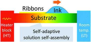 Graphical abstract: Thermal-assisted self-assembly: a self-adaptive strategy towards large-area uniaxial organic single-crystalline microribbon arrays