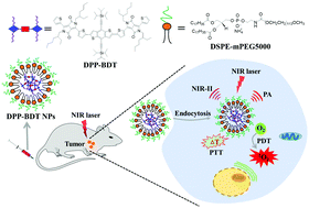 Graphical abstract: Biocompatible small organic molecule phototheranostics for NIR-II fluorescence/photoacoustic imaging and simultaneous photodynamic/photothermal combination therapy