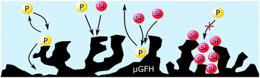 Graphical abstract: Quantification and isotherm modelling of competitive phosphate and silicate adsorption onto micro-sized granular ferric hydroxide