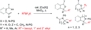 Graphical abstract: Saturated oxygen and nitrogen heterocycles via oxidative coupling of alkyltrifluoroborates with alkenols, alkenoic acids and protected alkenylamines