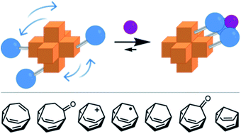 Graphical abstract: Shapeshifting molecules: the story so far and the shape of things to come