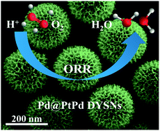 Graphical abstract: Rational synthesis of Pt-based dandelion-like yolk–shell nanoparticles with enhanced oxygen reduction properties