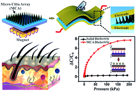 Graphical abstract: A bio-inspired cilia array as the dielectric layer for flexible capacitive pressure sensors with high sensitivity and a broad detection range