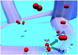 Graphical abstract: Self-supported nanostructured iridium-based networks as highly active electrocatalysts for oxygen evolution in acidic media