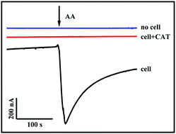 Graphical abstract: A non-enzymatic electrochemical biosensor based on Au@PBA(Ni–Fe):MoS2 nanocubes for stable and sensitive detection of hydrogen peroxide released from living cells