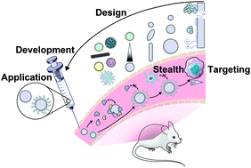 Graphical abstract: Engineering at the nano-bio interface: harnessing the protein corona towards nanoparticle design and function