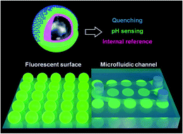 Graphical abstract: Thinking outside the shell: novel sensors designed from plasmon-enhanced fluorescent concentric nanoparticles
