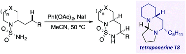 Graphical abstract: Regioselective side-chain amination of 2-alkyl azacycles by radical translocation: total synthesis of tetraponerine T8