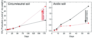 Graphical abstract: Anaerobic respiration pathways and response to increased substrate availability of Arctic wetland soils