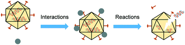 Graphical abstract: Antiviral-nanoparticle interactions and reactions