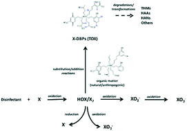 Graphical abstract: The forest or the trees: a critical review on the analysis of total organic halogen (TOX) in drinking waters and its utility as a water quality parameter