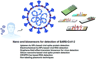 Graphical abstract: Nano- and biosensors for the detection of SARS-CoV-2: challenges and opportunities