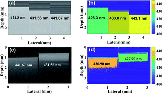 Graphical abstract: Nanoscale structure detection and monitoring of tumour growth with optical coherence tomography