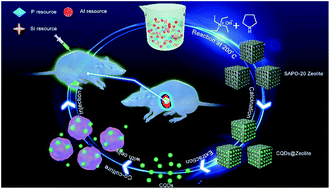 Graphical abstract: A zeolite-based ship-in-a-bottle route to ultrasmall carbon dots for live cell labeling and bioimaging