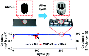 Graphical abstract: Mesoporous carbon host material for stable lithium metal anode