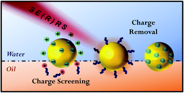 Graphical abstract: Self-assembly of colloidal nanoparticles into 2D arrays at water–oil interfaces: rational construction of stable SERS substrates with accessible enhancing surfaces and tailored plasmonic response