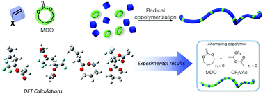 Graphical abstract: DFT-calculation-assisted prediction of the copolymerization between cyclic ketene acetals and traditional vinyl monomers